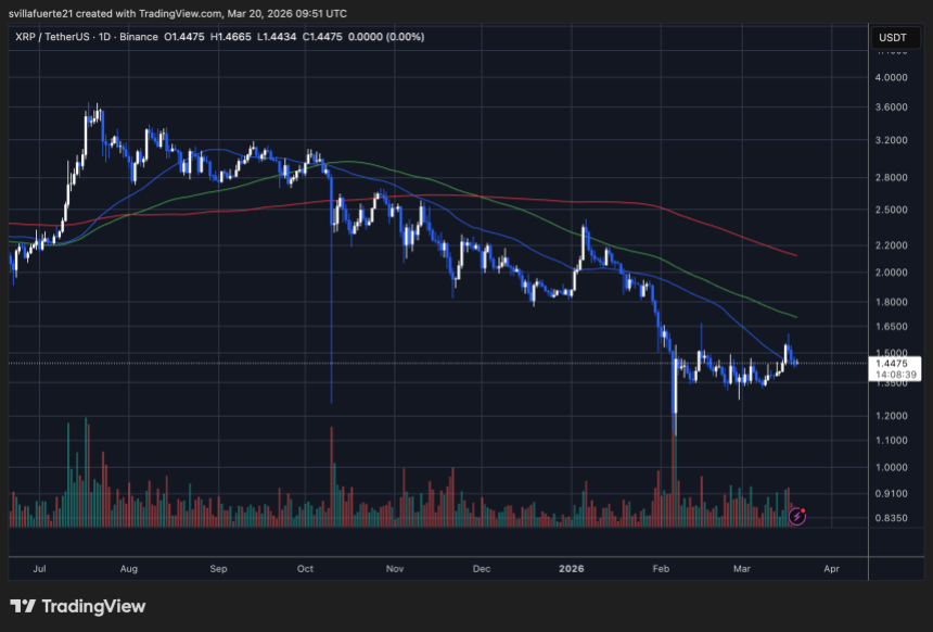 XRP consolidates below $1.50 | Source: XRPUSDT chart on TradingView