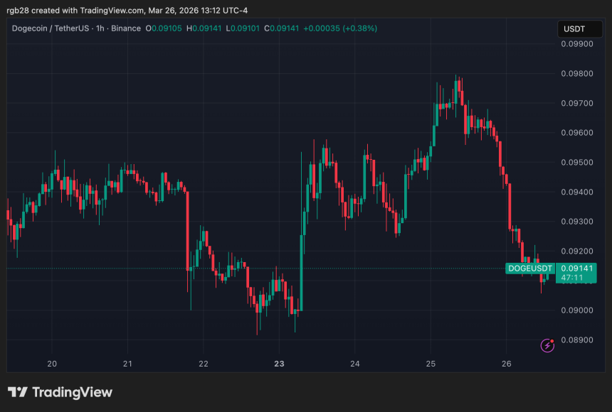 Dogecoin, doge, dogeusdt
