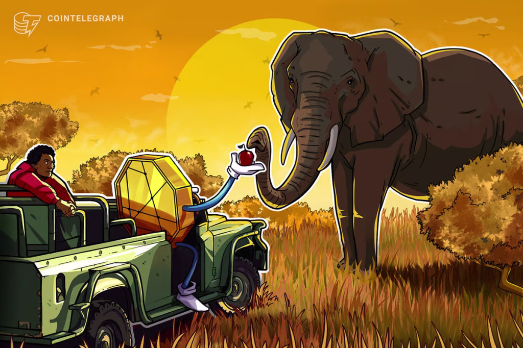 Blockchain Philanthropy Fails Africa’s Real-World Test