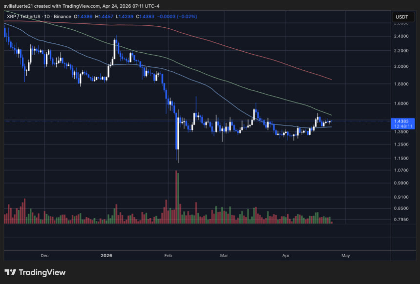 XRP consolidates above $1.40 | Source: XRPUSDT chart on TradingView