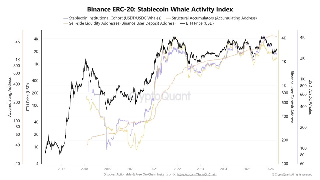Binance ERC-20 Stablecoin Whale Activity Index | Source: CryptoQuant